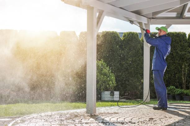 Best Sidewalk and Walkway Cleaning  in Earlham, IA